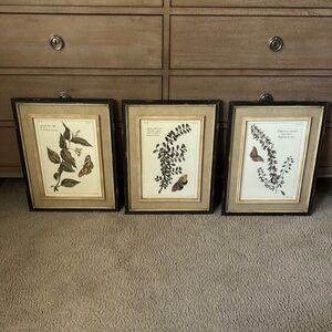 Set of Three Botanical Framed Prints